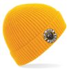 sun-yellow