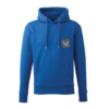 royal-blue